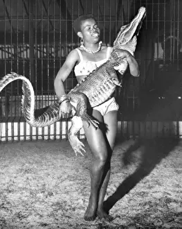 Woman with alligator, Chipperfields Circus