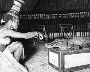 Alligators Gallery: Woman with alligator, Chipperfields Circus