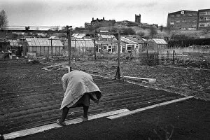 Cold Gallery: Woman on allotment - 2