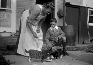 Woman and boy with two cats