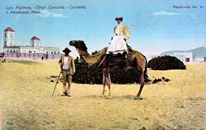 Palmas Prints: Woman on a camel, Las Palmas, Canary Islands