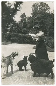 Woman with three dogs in a garden