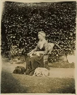 Images Dated 27th May 2016: Woman with two dogs in a garden