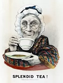Images Dated 8th September 2011: Woman drinking a cup of tea