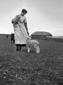 Lamb Prints: Woman on a farm with lambs and cattle