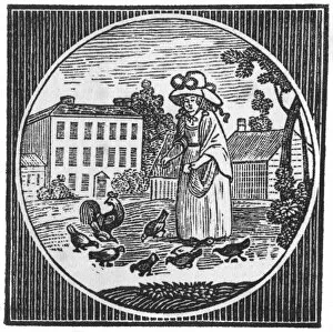 Woman feeding hens