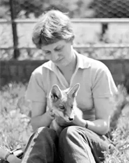 Foxes Prints: Woman with a fox