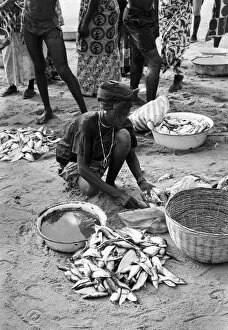Freshly Gallery: Woman with fresh fish in sand, Sierra Leone
