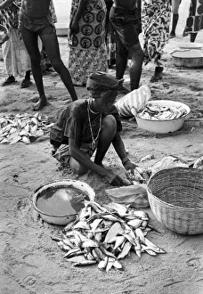 Woman with fresh fish in sand, Sierra Leone