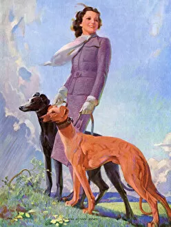 Walk Collection: Woman with greyhound dogs in the Mountains