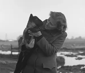 Woman holding a black-faced lamb in a muddy field