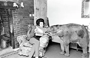 Woman at home with baby elephant Date: circa 1960s