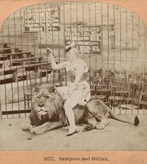 Cage Prints: Woman and lion in a cage, New Hampshire, USA