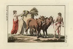 Melons Prints: Woman loading wheat, melons and vegetables