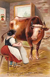 Milking Prints: Woman milking cow on a comic German greetings card