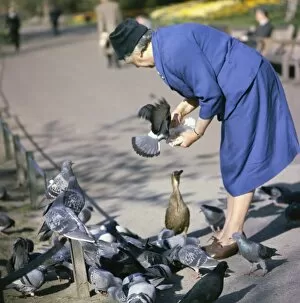 Images Dated 25th May 2017: Woman in a park with pigeons