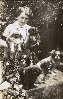 Lapdog Prints: Woman with Pekingese dogs and puppies in a garden