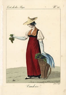 Woman picking grapes, Vaud, Switzerland, 19th century
