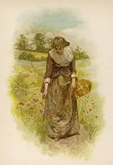 Stoops Prints: Woman Picking Poppies