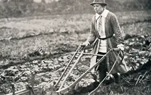 Ploughing Prints: Woman ploughing a field during World War I