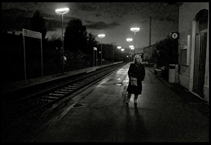 Images Dated 2013 November: 7 Nov 2013 Collection