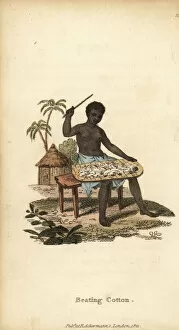 Woman of Senegambia beating cotton, 18th century