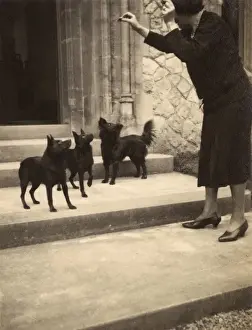 Treat Prints: Woman and three small dogs