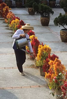 Images Dated 8th August 2019: Woman in a straw sunhat watering pots of flowers, Lantau, HK