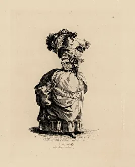 Coiffures Gallery: Woman with a telescope, era of Marie Antoinette