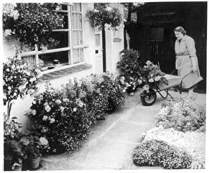 Gardening Collection: Woman & Wheelbarrow