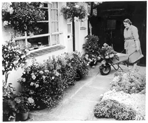 Gardening Prints: Woman & Wheelbarrow