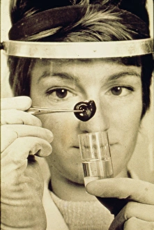 Woman at work, Snail Research Centre