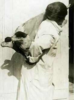 Cold Gallery: Woman working in cold storage carrying meat, WW1