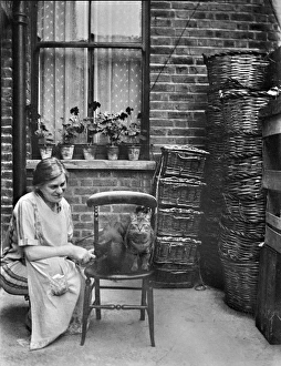 Sill Gallery: Woman in back yard with two cats