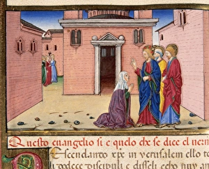 Apostles Collection: Due to the womans faith, Jesus heals her possessed daughter