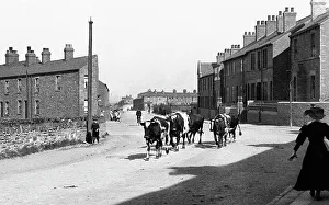 Wombwell Wath Road early 1900s