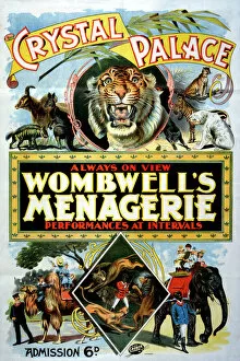 Images Dated 2nd November 2010: Wombwells Menagerie
