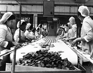 Images Dated 5th March 2012: Women in Biscuit Factory