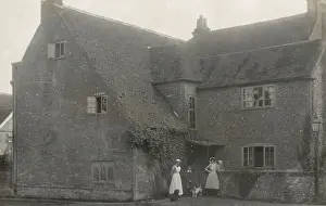 Two women and a boy with three dogs