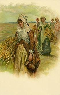 Women in the cornfields Women in the cornfields