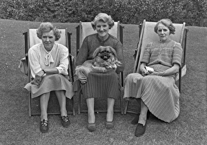 Three women in deckchairs with a dog Three women in deckchairs with a dog