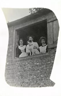 Terriers Collection: Three women with a dog at an open window