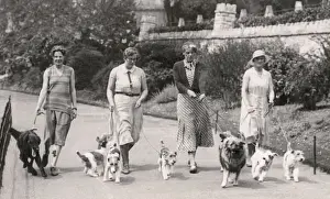 Walkies Prints: Four women with dogs, Bournemouth