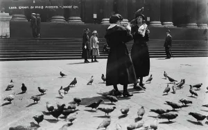 Scattered Prints: Women Feeding Pigeons at St. Paul's Cathedral