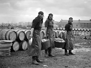 Containers Prints: Three women fishery workers