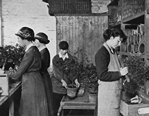 Women Gardeners at Windsor, WW1
