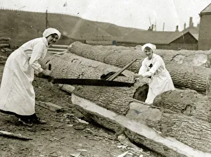Images Dated 2nd January 2019: Women lumberjacks sawing trees, WW1