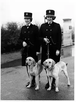 Women police dog handlers with drug sniffer dogs, London