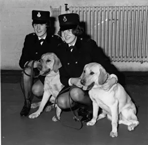 Women police dog handlers with drug sniffer dogs, London