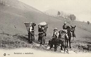 Hill Side Collection: Women porters of the Italian Lakes with mules